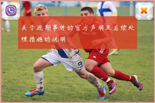 关于近期事件的官方声明及后续处理措施的说明